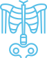 skeletal abnormalities skeletal abnormalities